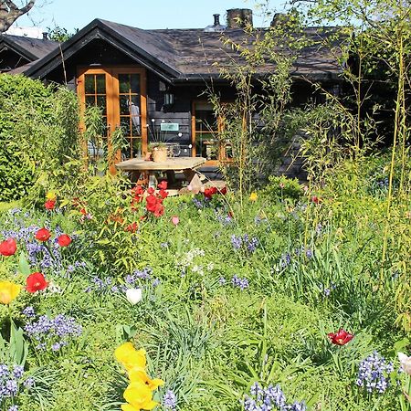 Bluebell Cottage - 27635 Darenth المظهر الخارجي الصورة